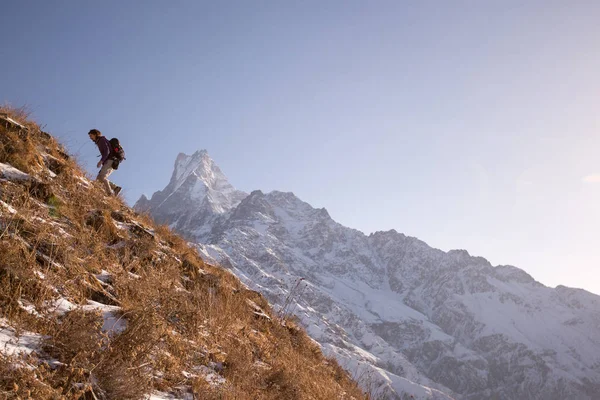 爬上山顶的登山者 背景为Machapuchare景观 — 图库照片