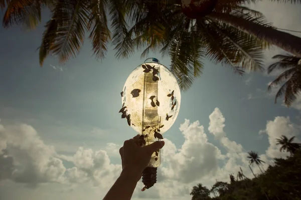 Grote Lamp Zomer Zon Palm Bomen Achtergrond Kleine Schelpen Lamp — Stockfoto
