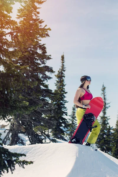 Retrato Una Mujer Snowboarder Sonriente Bosque Montañoso Invierno Vacaciones Invierno —  Fotos de Stock