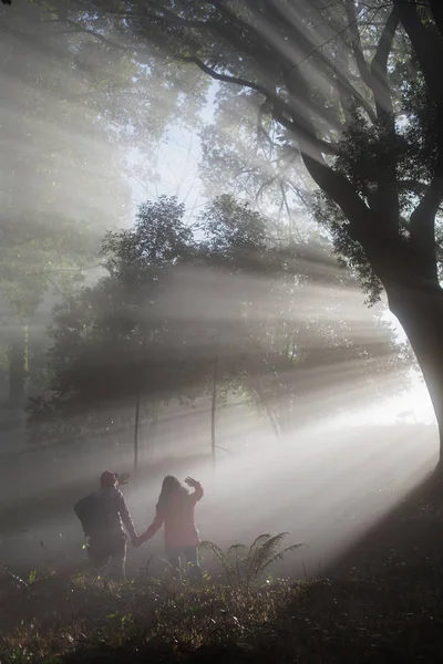 Viaggiatori Coppia Piedi Nella Foresta Nebbia — Foto Stock