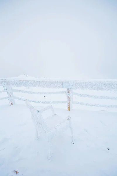 Silla Congelada Nieve Aire Libre Frost Nevado Día Invierno — Foto de Stock