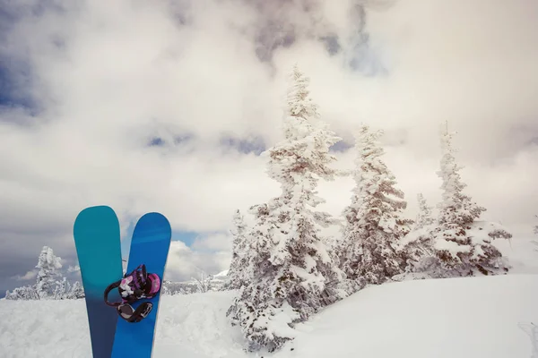 Due Snowboard Nella Foresta Abeti Rossi Invernali Paesaggio Montagna Ghiacciato — Foto Stock