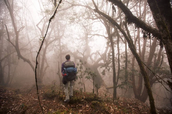 Wanderer Mann Fuß Nebel Berg Dschungel Rhododendron Wald — Stockfoto