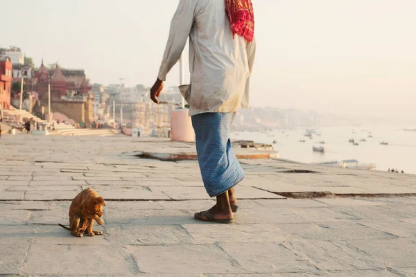 Μικρό Σκυλάκι Που Κάθεται Μόνο Του Στο Δρόμο Varanasi City — Φωτογραφία Αρχείου