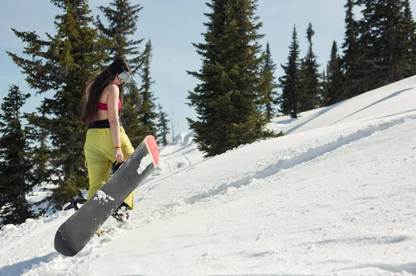 Snowboard Femenino Caminando Con Tabla Montaña Nieve Deportes Invierno Vacaciones —  Fotos de Stock