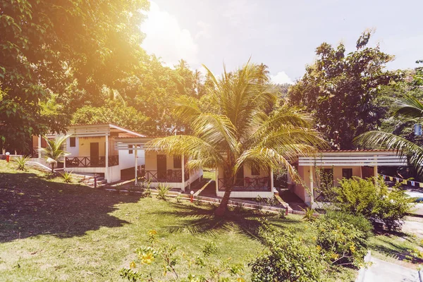 Interior of Tropical resort with garden, flowers and palm trees