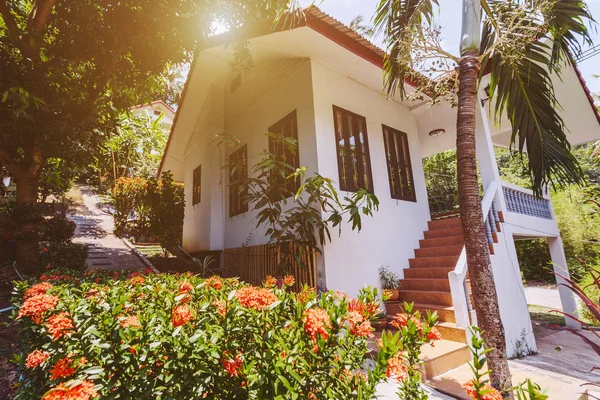 Interior Casa Tropical Livre Com Jardim Flores Palmeiras — Fotografia de Stock