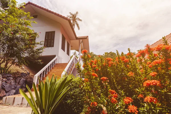 Interiér Tropického Domu Venkovní Zahradou Květinami Palmami — Stock fotografie