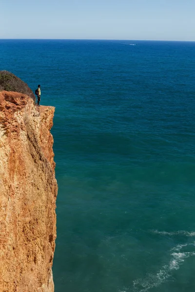 Man Standing Beautiful Cliff Looking Ocean Gull Bird Enjoy Travel — Stock Photo, Image