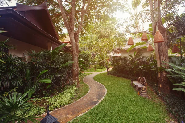 Interior Tropical Path Luxury Hotel Resort Outdoor Tropical Garden — Stock Photo, Image