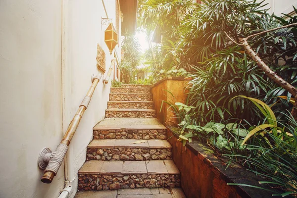 Interior Tropical Steps Luxury Hotel Resort Outdoor Tropical Garden — Stock Photo, Image