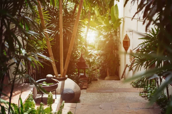 Interiér Tropické Stezky Luxusním Hotelovém Resortu Venkovní Tropickou Zahradou — Stock fotografie