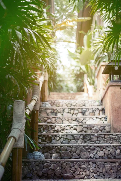 Interiér Tropických Schodů Luxusním Hotelovém Resortu Venkovní Tropickou Zahradou — Stock fotografie