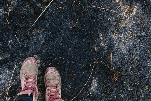 Female Legs Wearing Pink Sneakers Standing Black Burned Grass Outdoor — Stock Photo, Image