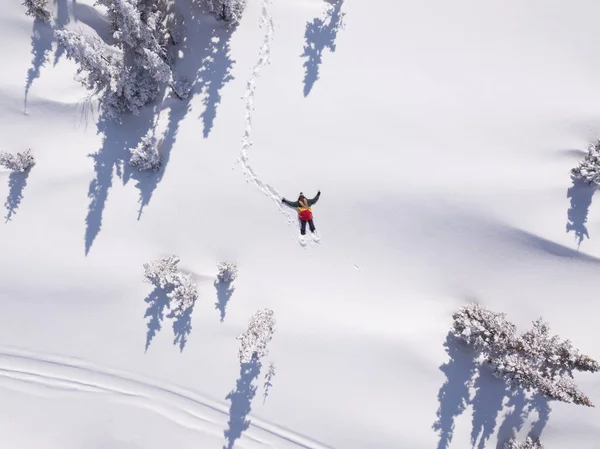 Winterluchtfoto Portret Van Snowboarder Vrouwtje Liggend Schone Sneeuw Tussen Kerstbomen — Stockfoto