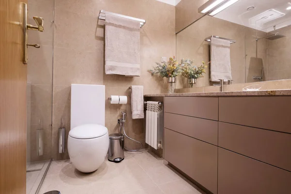 Łazienka Toaleta Prosty Wystrój Wnętrz Brązowe Kolory — Zdjęcie stockowe