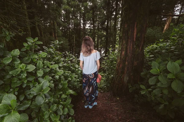 Mulher Vestindo Roupas Cor Azul Andando Floresta Tropical Escura — Fotografia de Stock