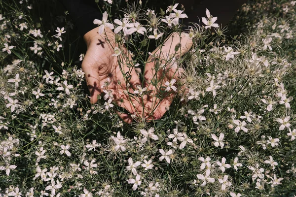 Mãos Casal Primavera Branca Flores Silvestres Fundo Livre — Fotografia de Stock