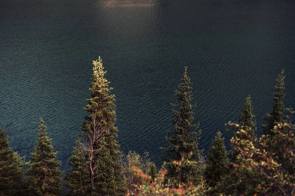 Гора Розливається Синьому Фоні Води Kolsay Lake Kazakhstan — стокове фото