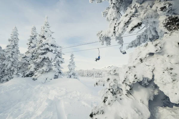 Skilift Achter Bevroren Besneeuwde Bomen Berglandschap Skigebied — Stockfoto