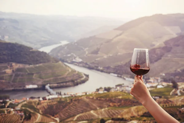 ポルトガル ドゥオーバレーの風景を背景に赤ワインのグラスを手に持っている ポートワインの生産場所 — ストック写真