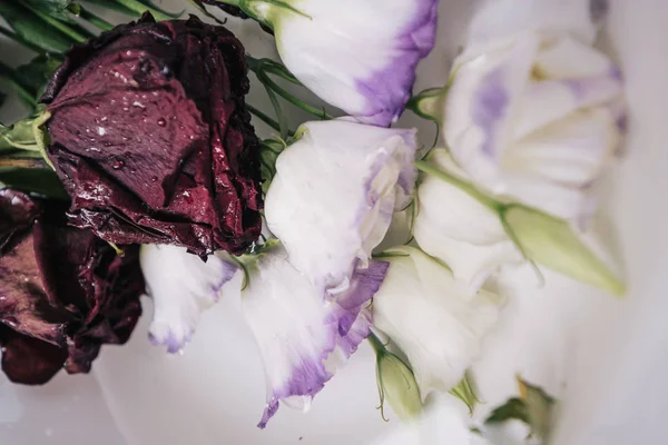 Flower Background Dry Red Roses In Water Drops And White Blue Wet Flowers Stock Images Page Everypixel