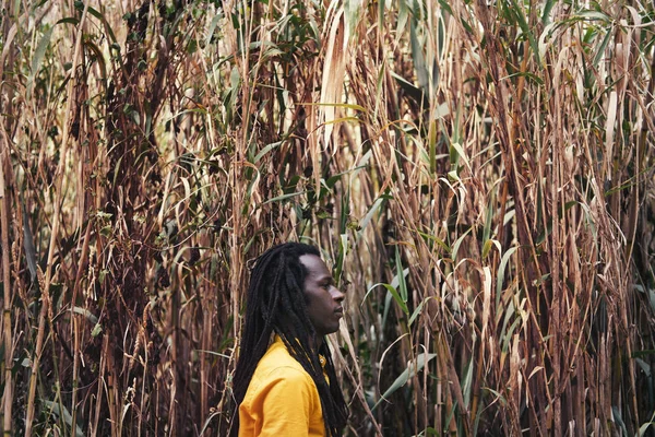 Außenporträt Eines Afrikanischen Mannes Mit Langen Dreadlocks Und Gelbem Hemd — Stockfoto