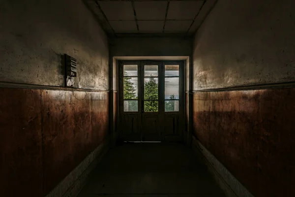 Coridor Înfricoșător Într Clădire Abandonată Copaci Natură Afara Ferestrei — Fotografie, imagine de stoc