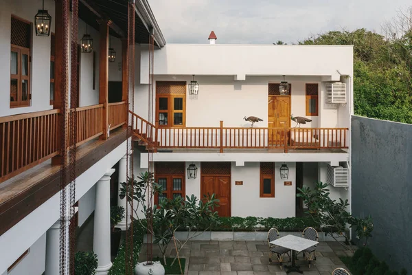 スリランカの美しい高級熱帯ホテルのインテリアバルコニーに孔雀と屋外 — ストック写真