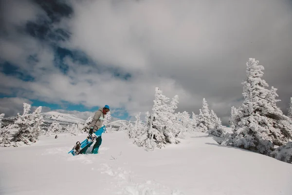 Boldog Snowboardos Séta Télen Havas Erdőben Fagyott Fák Napos Nap — Stock Fotó