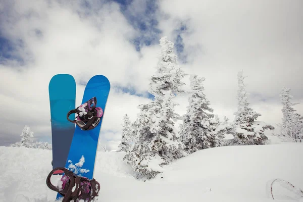 Két Deszka Snowboardozáshoz Hóban Fagyasztott Lucfenyő Karácsonyfák — Stock Fotó