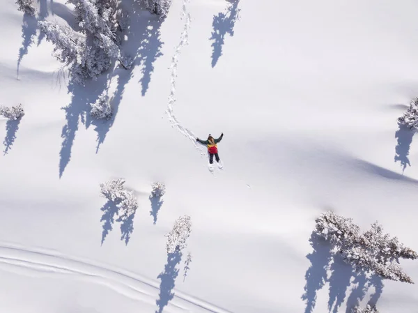 Vinter Antenn Visa Porträtt Snowboarder Kvinnliga Ligger Ren Snö Mellan — Stockfoto
