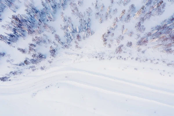 Veduta Aerea Della Pineta Innevata Della Strada Giorno Congelato Siberia — Foto Stock