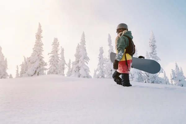 Snowboarder Feminino Vestindo Longos Dreadlocks Ratsa Com Capuz Floresta Branca — Fotografia de Stock