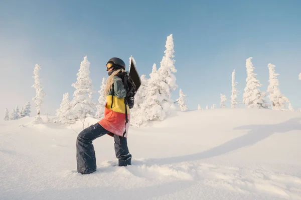 Fiatal Felnőtt Női Snowboard Álló Snowboard Mögött Téli Erdő — Stock Fotó