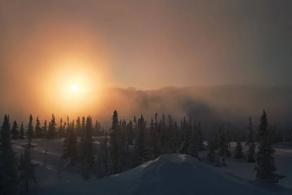 Hermoso Bosque Árboles Navidad Invierno Con Paisaje Montaña Amanecer Congelado —  Fotos de Stock