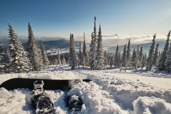 Snowboarder legs with snowboard in deep snow powder. Freeride on wild slop, amazing mountains view, snow-covered fir trees, sunny winter day