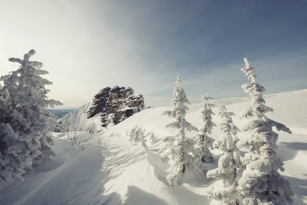 Hermoso Paisaje Invierno Con Árboles Cubiertos Nieve Rocas Acantilado Polvo —  Fotos de Stock