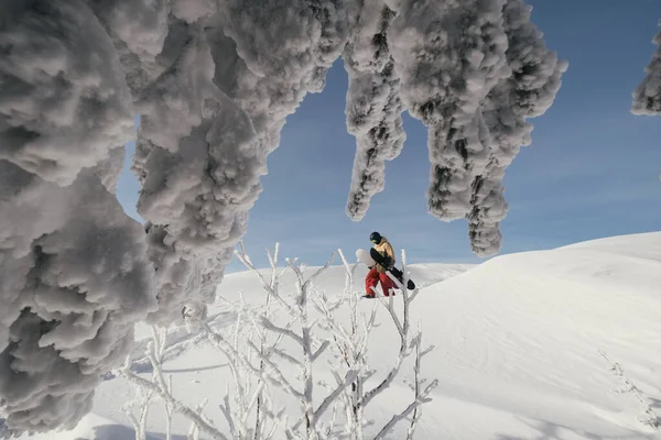 Snowboardåkare Håller Brädor Promenader Genom Djup Snö För Freeride Vinterbergen — Stockfoto