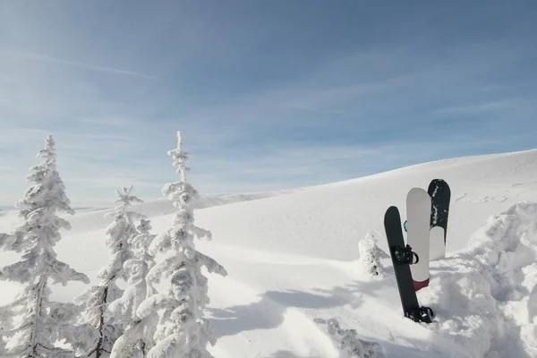 Piękny Widok Snowboardów Stojących Śniegu Zimie Śnieżnym Lesie Wzgórzach Freeride — Zdjęcie stockowe