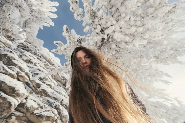 Krásný Zimní Portrét Mladé Feny Pod Zasněženými Jedlemi Útesy Hezký — Stock fotografie