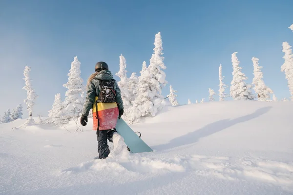 Samice Snowboardistky Dlouhými Dredy Mikinkou Držící Prkno Kráčející Sněhem Pokrytém — Stock fotografie