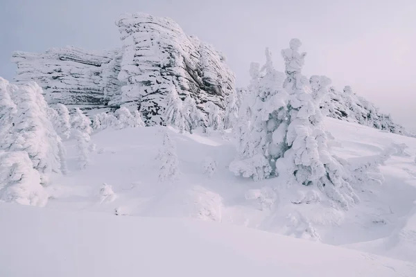 Bellissimo Paesaggio Invernale Con Alberi Innevati Scogliere Rocciose Neve Profonda — Foto Stock