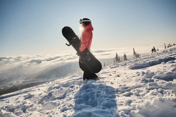 Самка Сноубордистка Держащая Сноуборд Стоящий Горных Помоях Готовится Сноуборду Солнечный — стоковое фото
