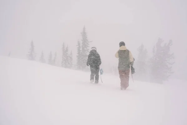 Snowboardosok Kezében Táblák Séta Moslékot Freeride Télen Hegyek Alatt Nehéz — Stock Fotó