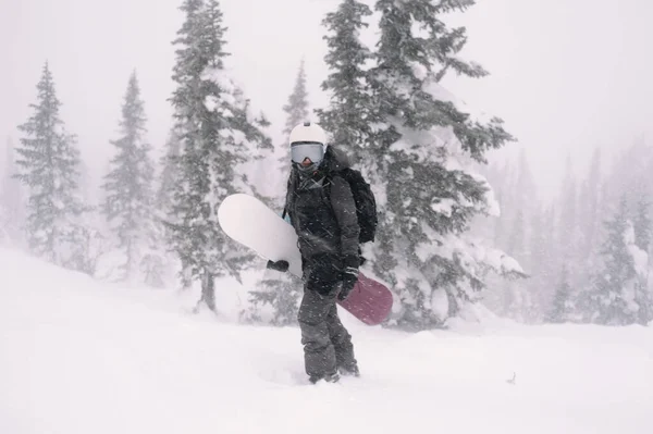 Snowboardåkare Håller Brädor Går Ner Snön Slupen För Freeride Vinterbergen — Stockfoto