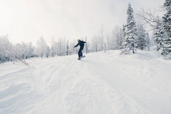 Freerider Snowboarder Saltando Bosque Cubierto Nieve Invierno Polvo Nieve Fresca —  Fotos de Stock