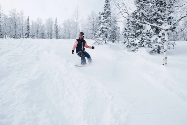 Freerider Jazda Snowboardzie Zimie Pokryte Śniegiem Las Świeży Śnieg Proszku — Zdjęcie stockowe