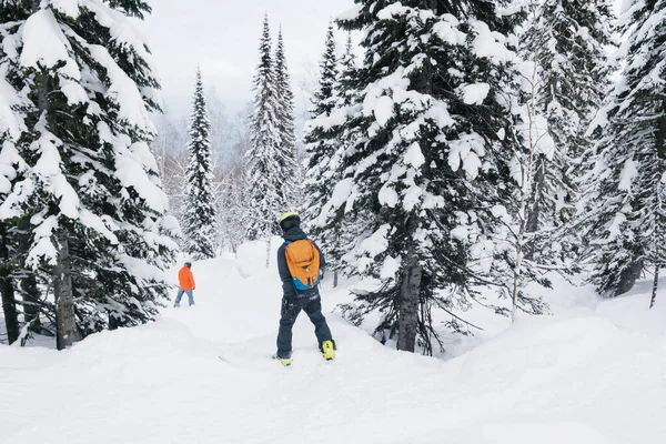 Snowboarder Montar Invierno Cubierto Nieve Bosque Pieles Polvo Nieve Fresca —  Fotos de Stock