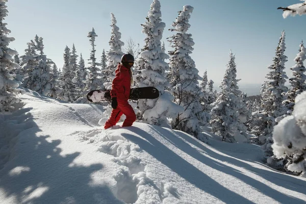 Kışın Karla Kaplı Ormanda Yürüyen Kar Kayakçısı Kırmızı Snowboard Tulumu — Stok fotoğraf